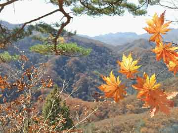打胎药在线购买qin找南宁华夏孕7周吃打胎药吗（7周吃药能流掉吗）